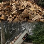 1palette Bois de Chauffage Premium – 50cm – 3 Stères – Image 3