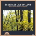 1,5 stères de Bois de Chauffage coupé/Fendu en 30 cm Box de 1,05m3 Bois Sec – Image 4