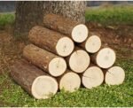 TRGCJGH Bois de chauffage naturel séché au four, bûches de bois pour poêle à bois