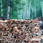 LOERSS Bois de Chauffage Naturel séché au Four – Image 3